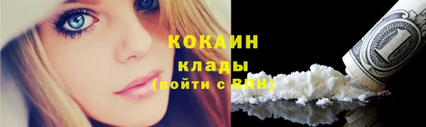 мяу мяу мука Гусь-Хрустальный