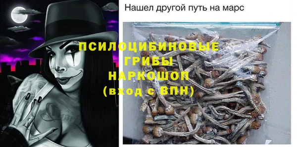 дживик Гусев