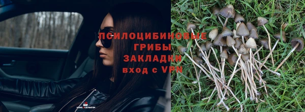 ешки Горно-Алтайск